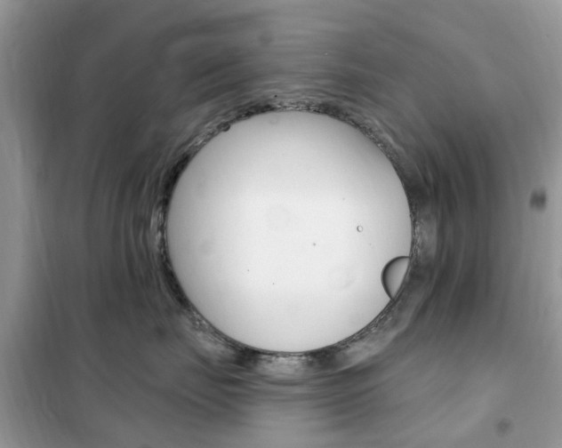 X0000102350671200808010937