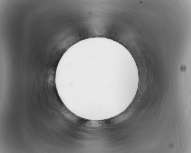 X0000102350672200808010937