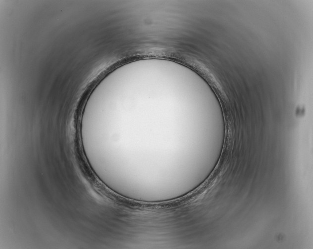 X0000102350674200808010936