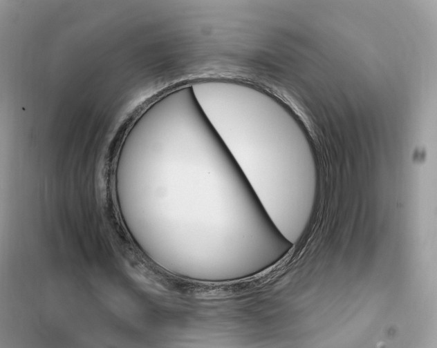 X0000102350675200808010936