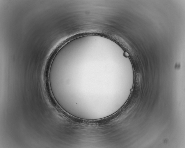 X0000102350676200808010936