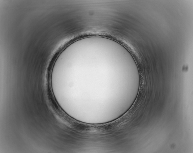 X0000102350678200808010936