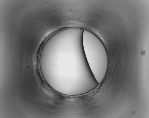 X0000102350679200808010936