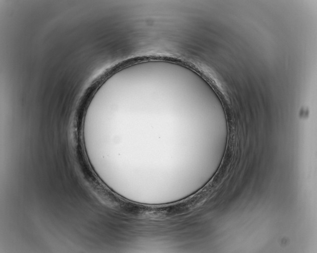 X0000102350680200808010936
