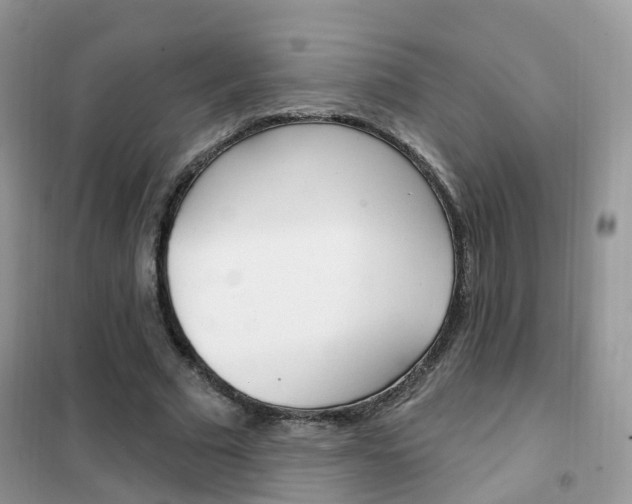 X0000102350681200808010936
