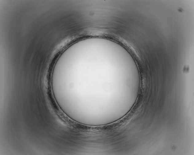 X0000102350682200808010936