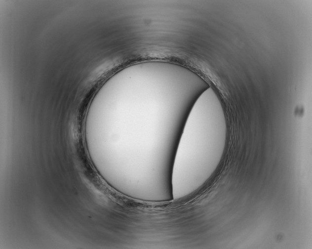 X0000102350683200808010936