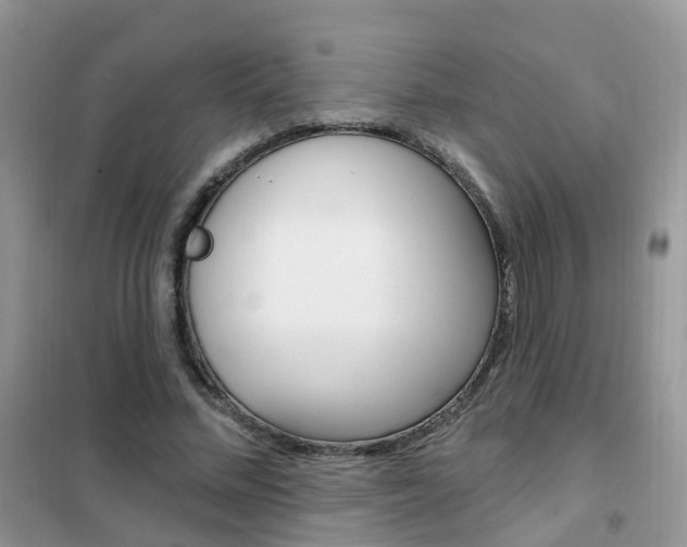 X0000102350684200808010936