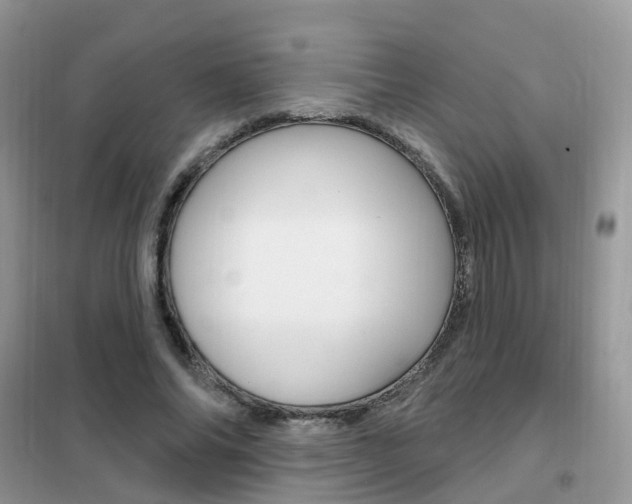 X0000102350686200808010936