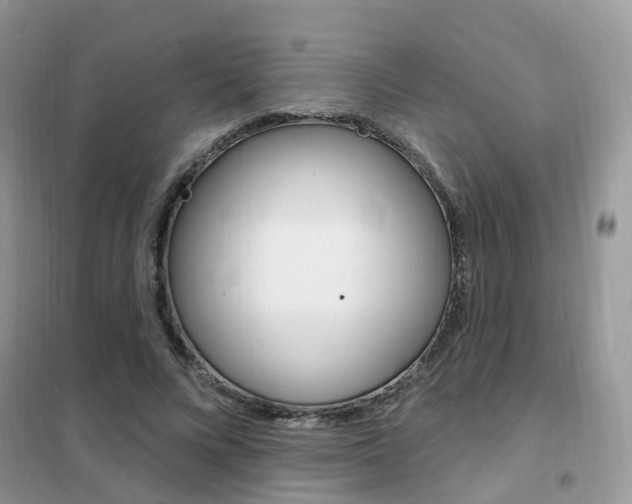 X0000102350688200808010936