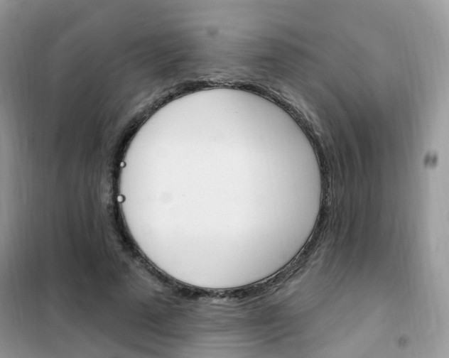 X0000102350689200808010936