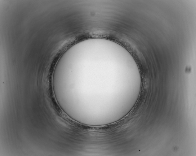 X0000102350690200808010936