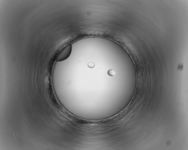 X0000102350692200808010936