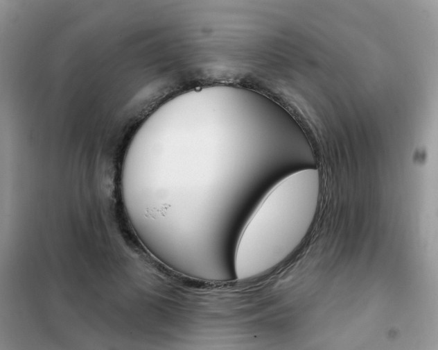 X0000102350693200808010936