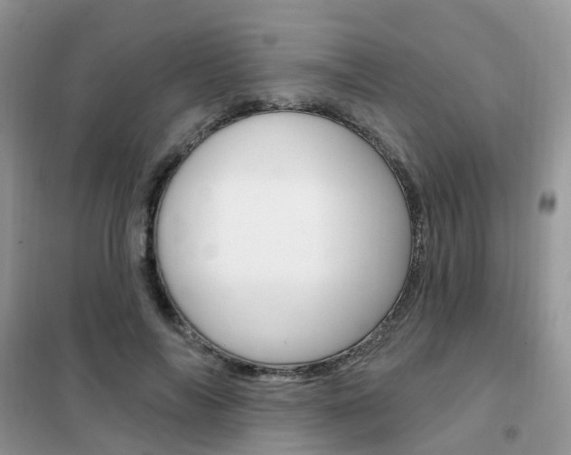 X0000102350694200808010936