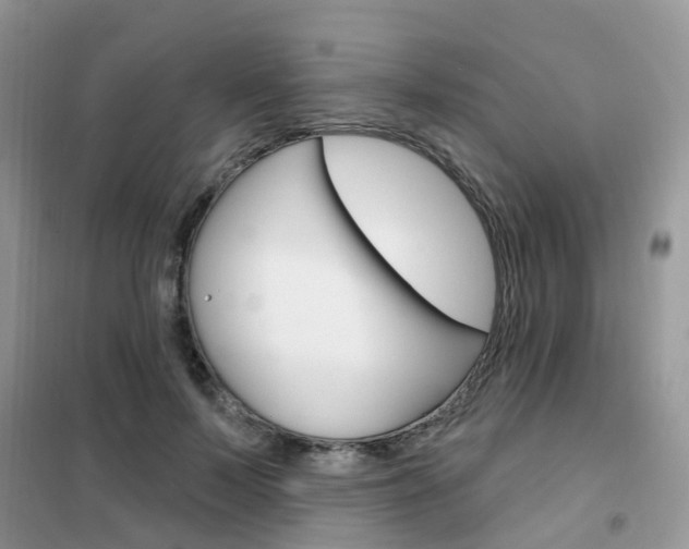 X0000102350695200808010936