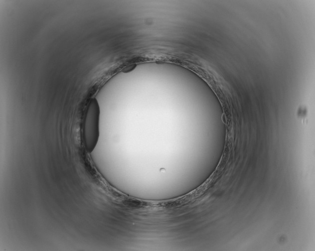 X0000102350696200808010936