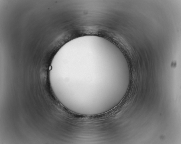 X0000102350697200808010936