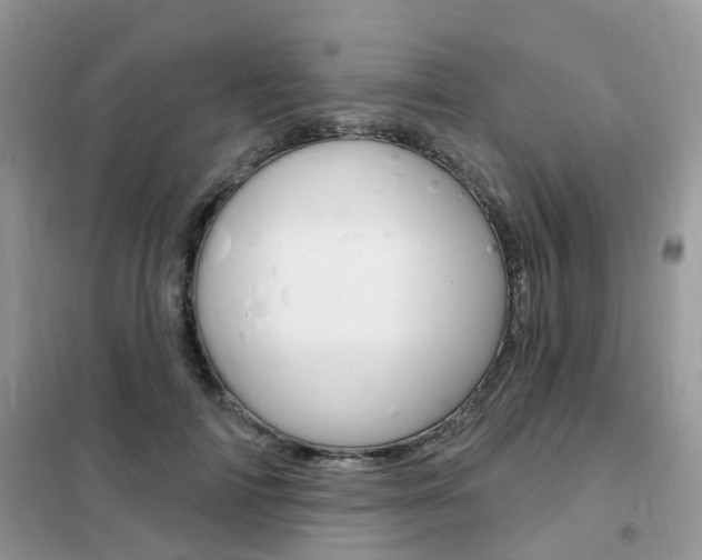X0000102350698200808010936