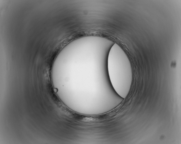X0000102350699200808010936