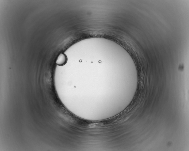 X0000102350700200808010936