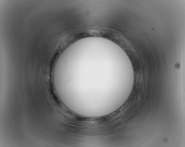 X0000102350702200808010936