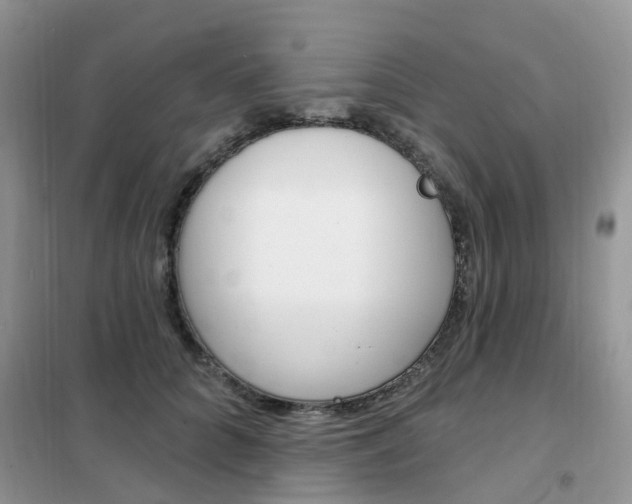 X0000102350704200808010936
