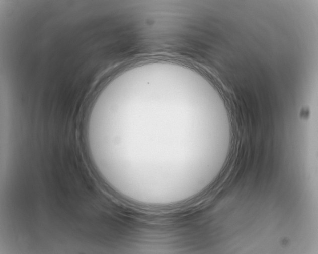 X0000102350705200808010936
