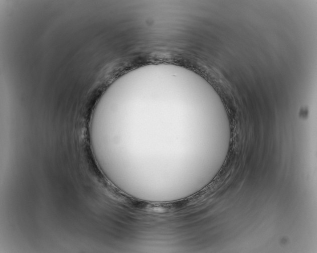 X0000102350706200808010936