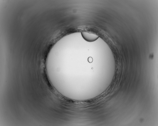 X0000102350707200808010936