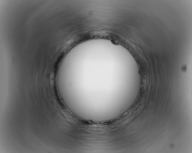 X0000102350708200808010935