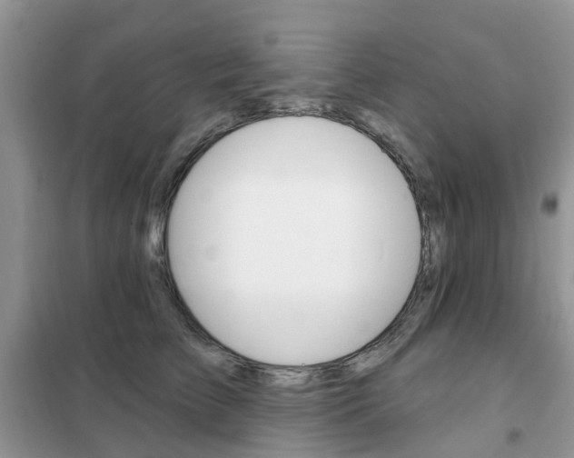 X0000102350709200808010935