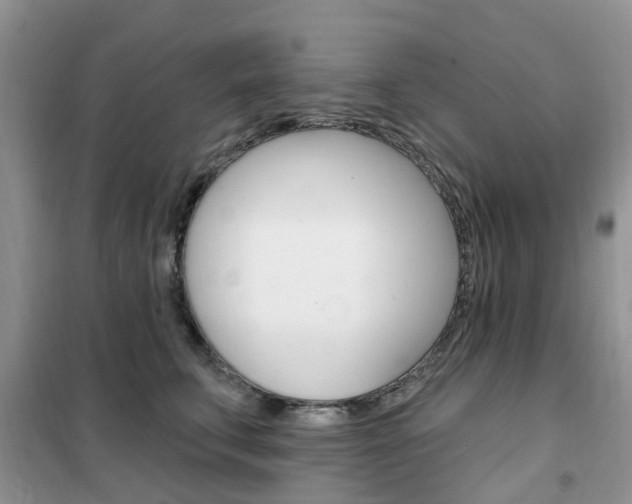 X0000102350711200808010935