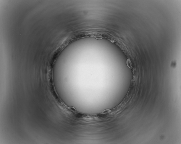 X0000102350712200808010935