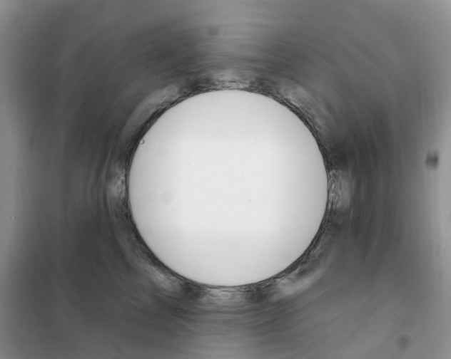 X0000102350713200808010935