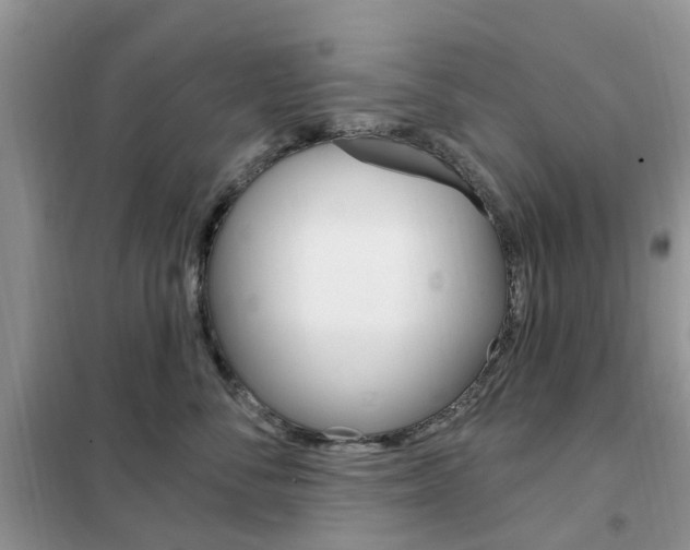 X0000102350716200808010935