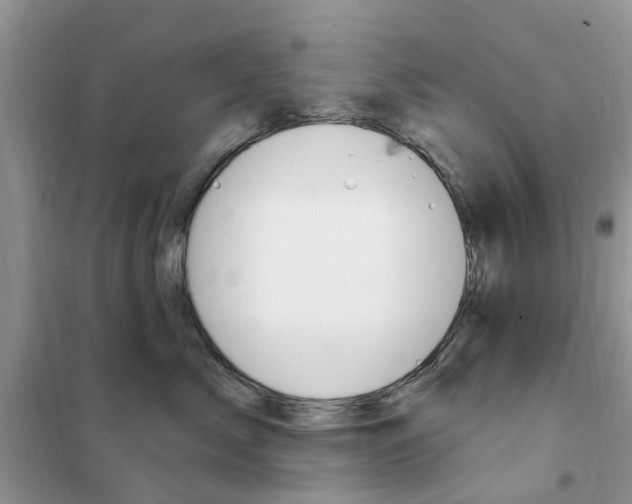X0000102350717200808010935