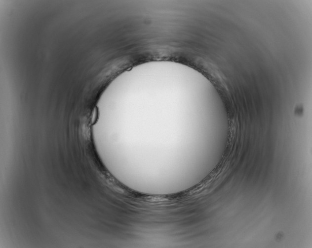 X0000102350719200808010935