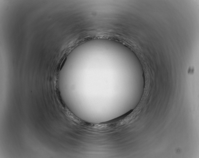 X0000102350720200808010935