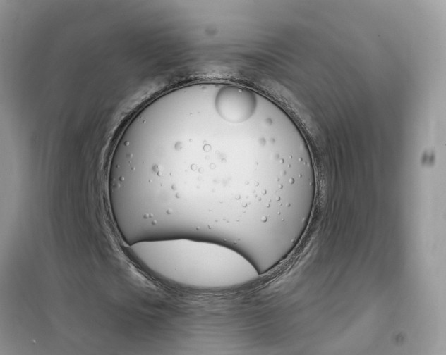 X0000102350721200808010935