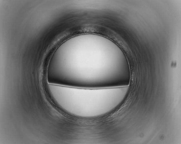 X0000102350722200808010935