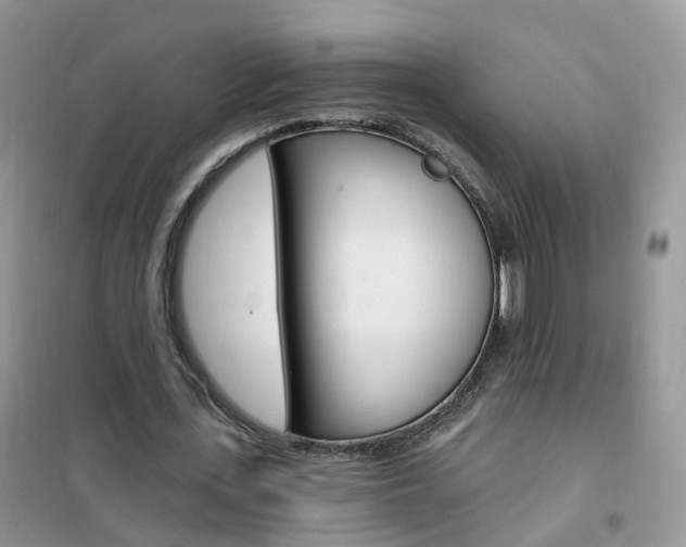 X0000102350723200808010935