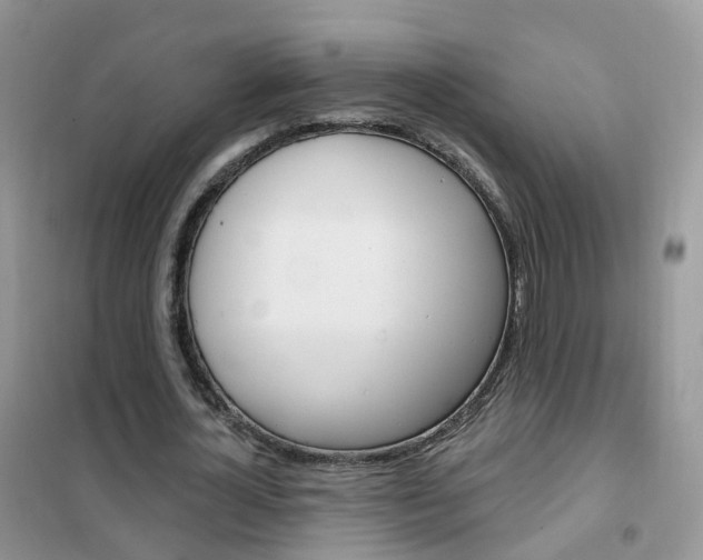 X0000102350724200808010935