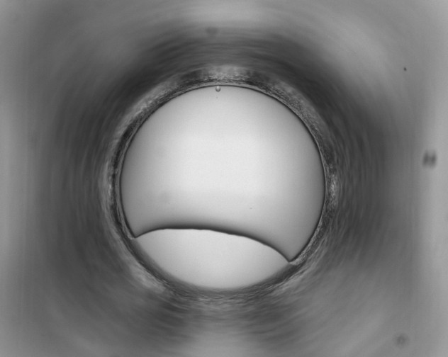 X0000102350725200808010935