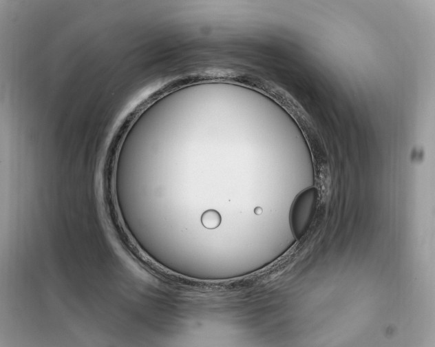 X0000102350726200808010935