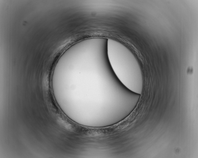 X0000102350729200808010935