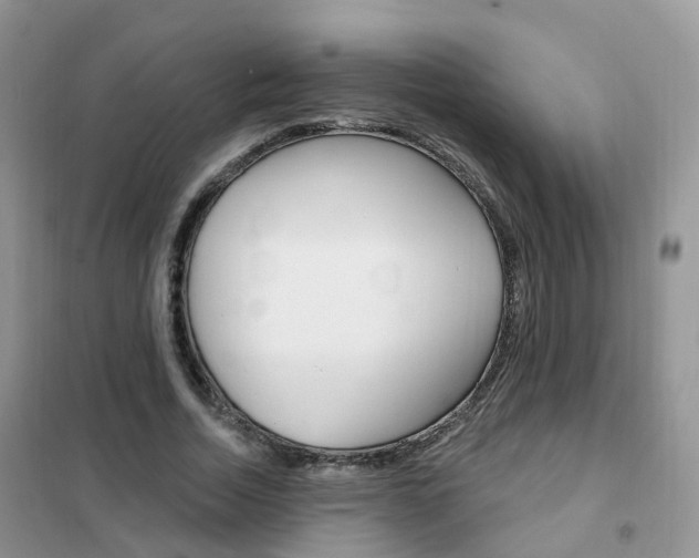 X0000102350730200808010935