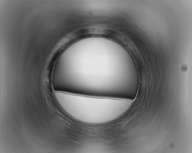 X0000102350731200808010935