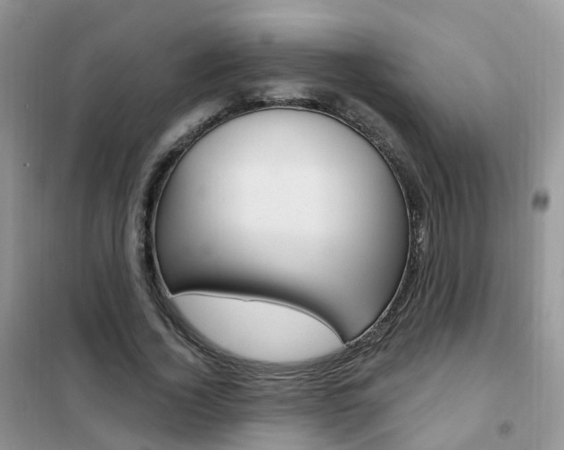 X0000102350732200808010935