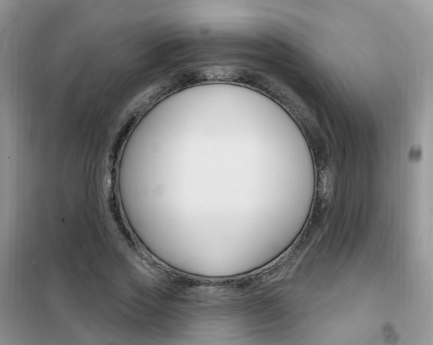 X0000102350733200808010935